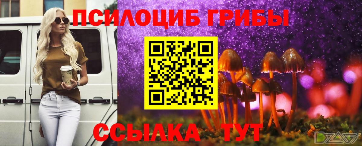 Псилоцибиновые грибы ЛСД  Вход с VPN  Лыткарино 